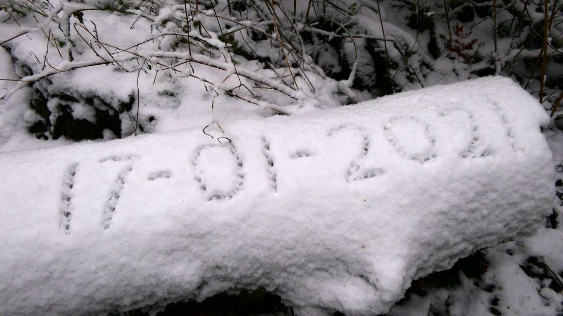 Sneeuw in het bos bij Gieten