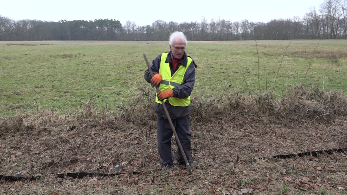 Paddenredders plaveien de weg voor de paddentrek