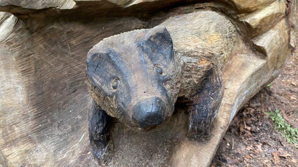 Bos vol houten beesten in Oudemirdum: kinderen leren in 'natuurlijke omgeving'