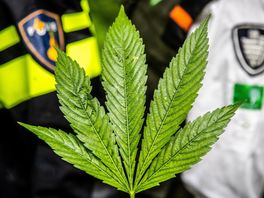 Aantal opgerolde wietplantages en drugslabs gedaald