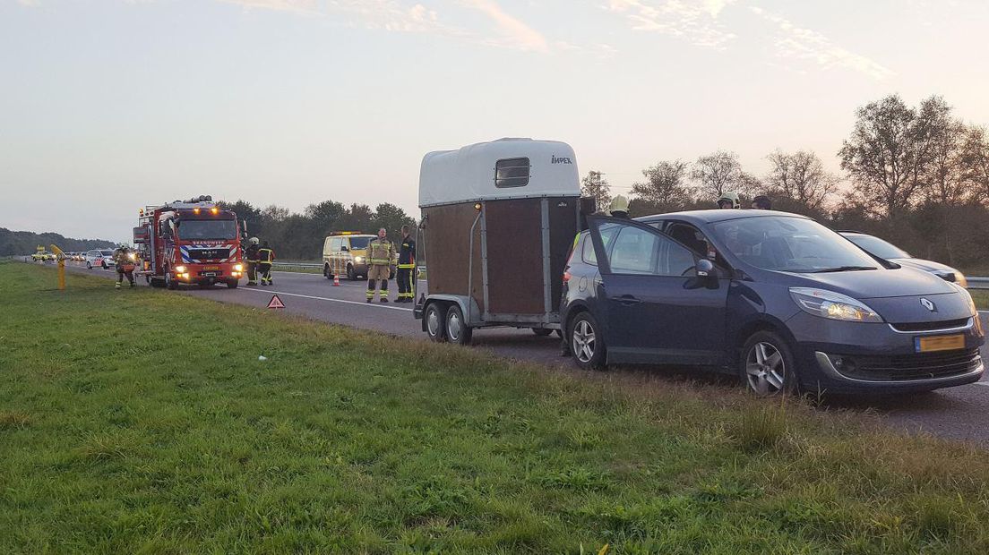 Het paard is weer bevrijd (Rechten: Persbureau Meter)