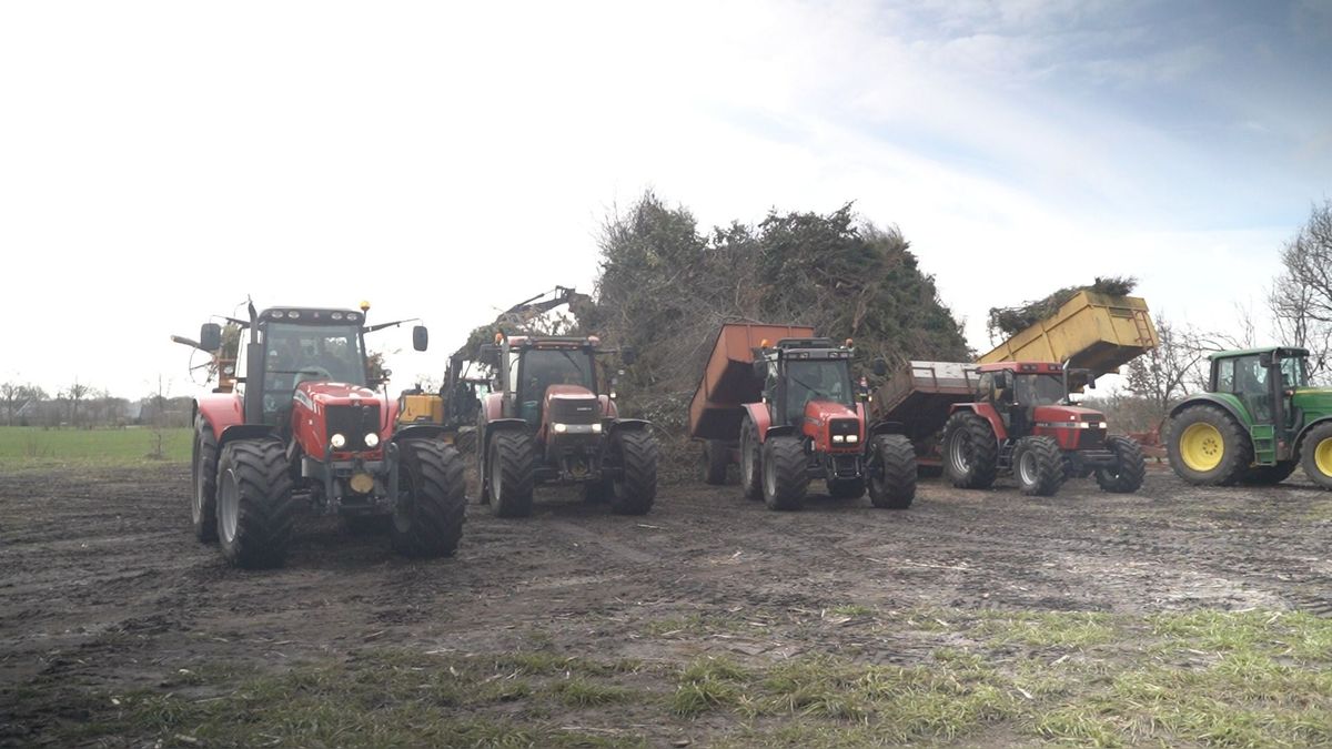 Oudjaarsvereniging Elsloo bouwt haar hoogste paasbult ooit