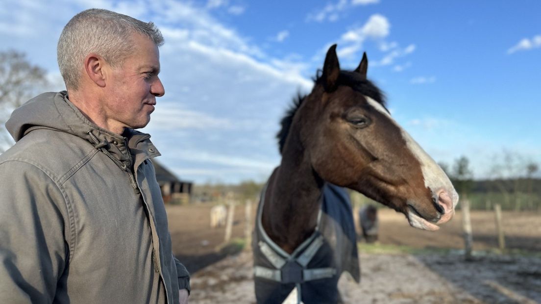 Arjan pensionstalhouder heeft al wolfwerende rasters rond paardenweide
