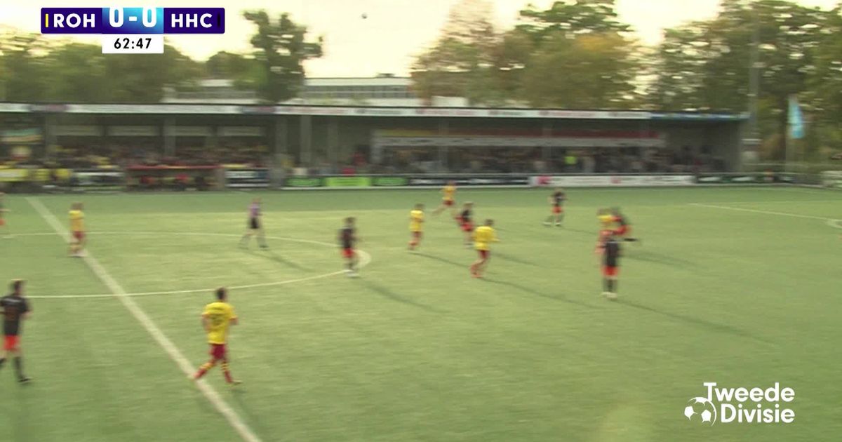 Samenvatting ROHDA Raalte - HHC