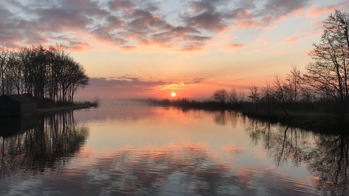 Ruud kijkt vanaf zijn werkplek uit op de natte natuur van Overijssel