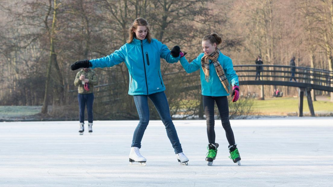 Schaatsers in het Haagse Bos in 2017