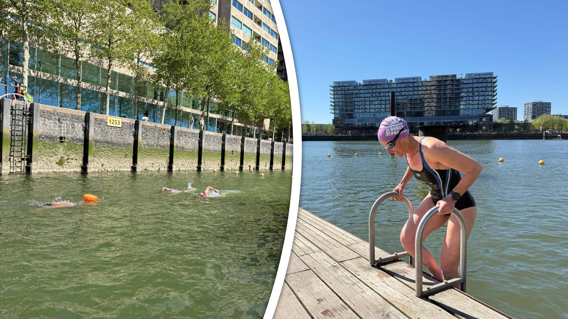 De Rijnhaven is de nieuwe place to be voor buitenzwemmers