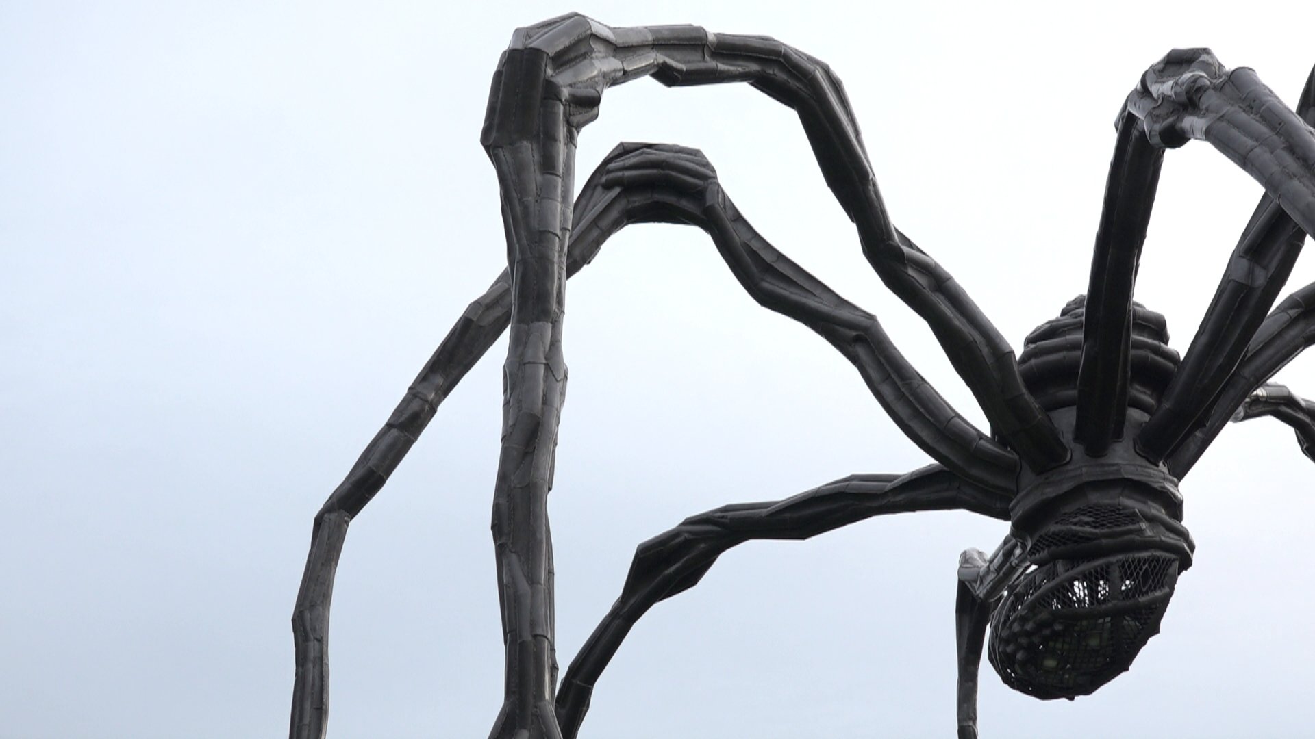 meto 　Louise Bourgeois Louise Bourgeois' gigantische spin waakt over Museum Voorlinden