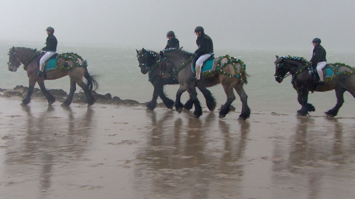 Minder paarden bij straô Noordwelle vanwege slechte weer