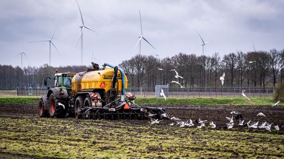 25 miljoen voor boeren als steunmaatregel? 'Klinkt veel, maar is het niet'