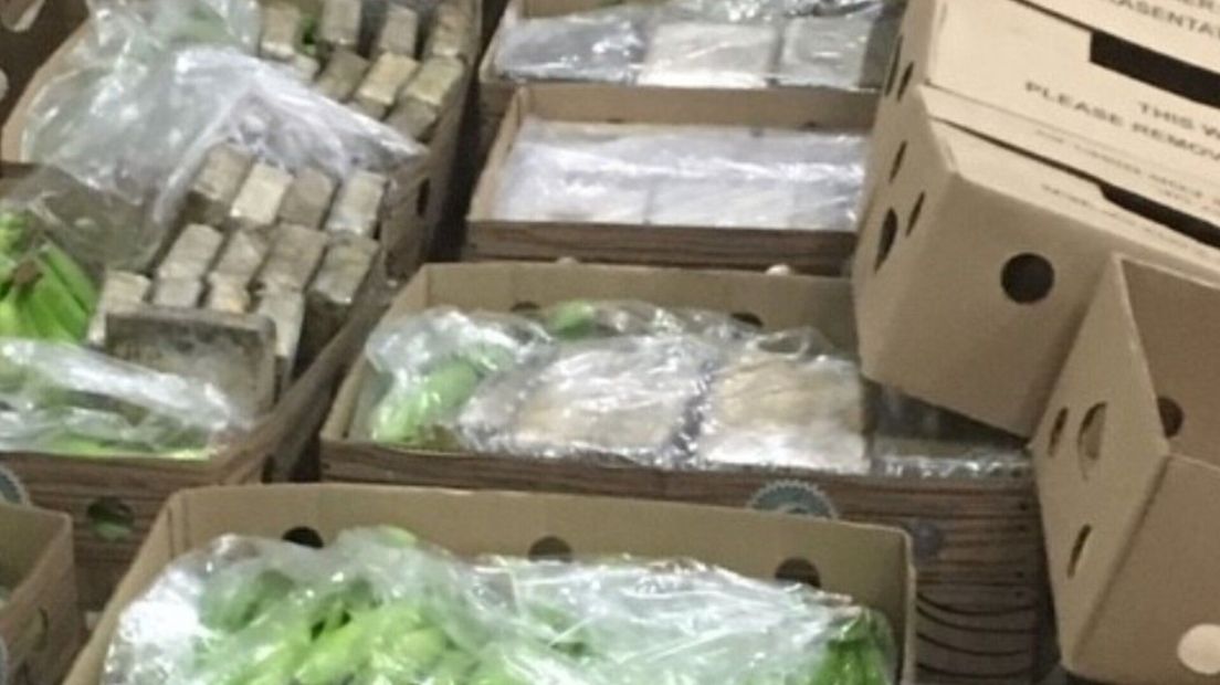 De eerdere drugsvangst in haven Vlissingen: 800 kilo cocaïne tussen de bananen