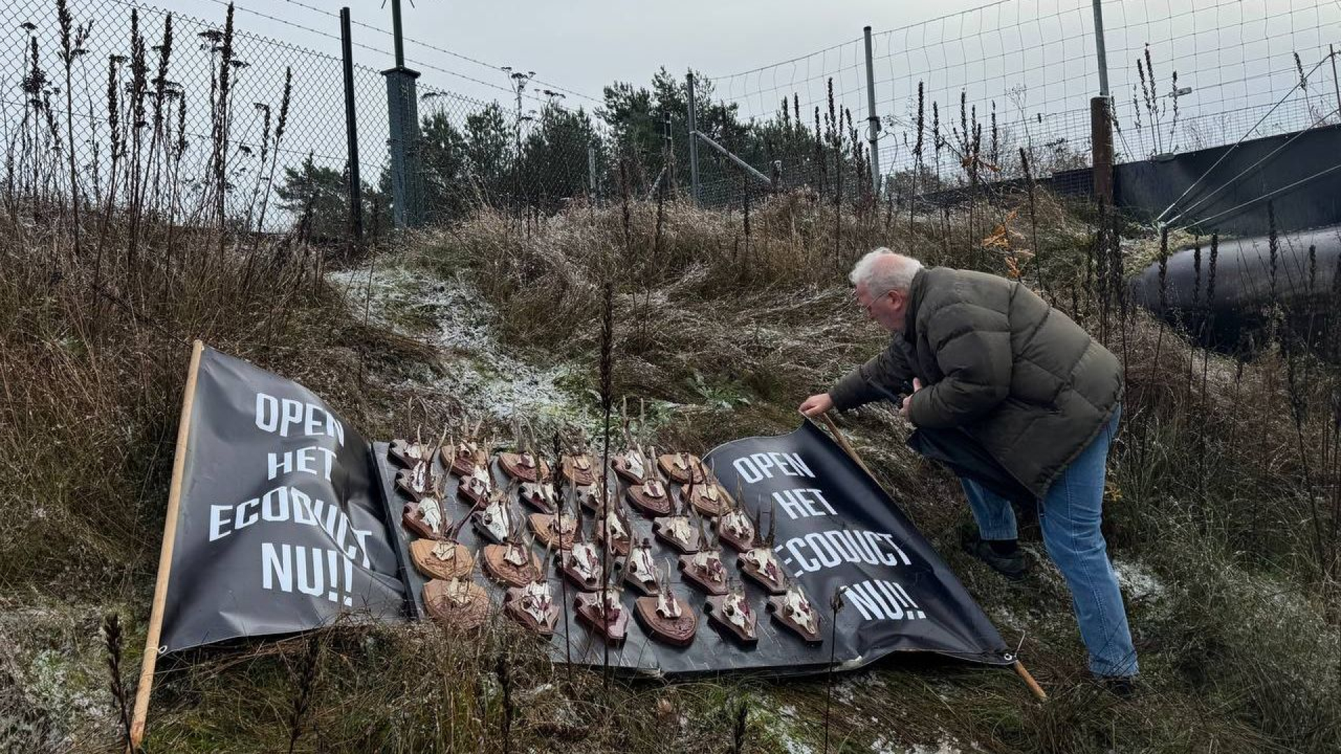 Natuurorganisaties winnen zaak: ecoduct na jaren weer open