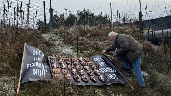 Natuurorganisaties winnen zaak: ecoduct na jaren weer open