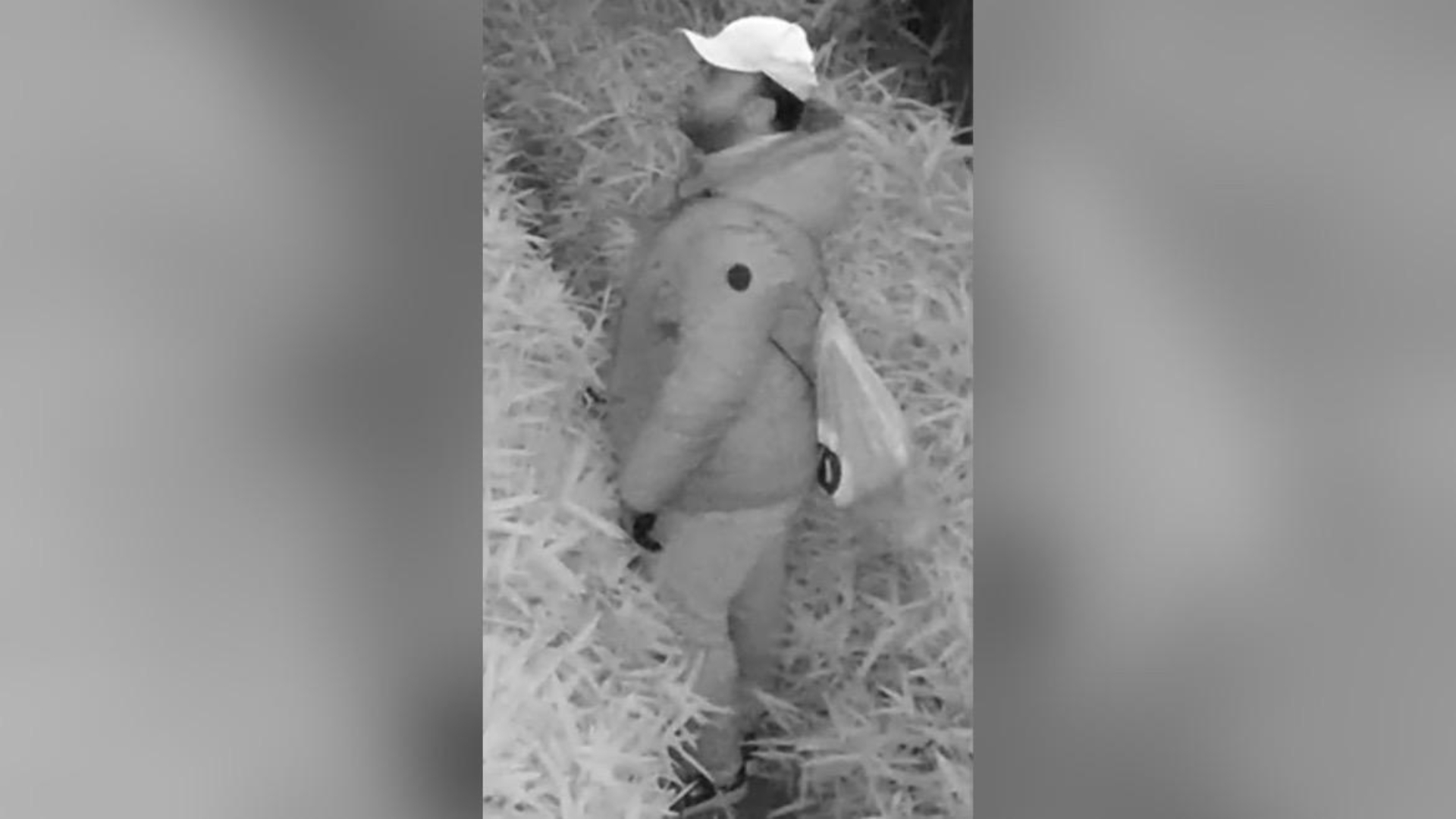 9468b605-90b5-30a5-913d-fd79cea91e0b.jpg?width=1104&height=828&aspect_ratio=1104:828&cb=3d1c32f351ecc86776738c359830ce42