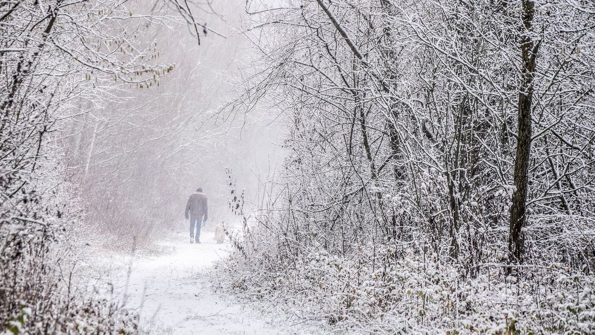 Mooie winterse taferelen maar ook ellende op de weg