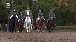 Age en Maestro moatte wenne oan de kavalery