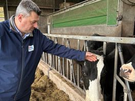 Zorgen bij boeren in Noordoost-Twente om 'kaalslag' van platteland na herinrichting
