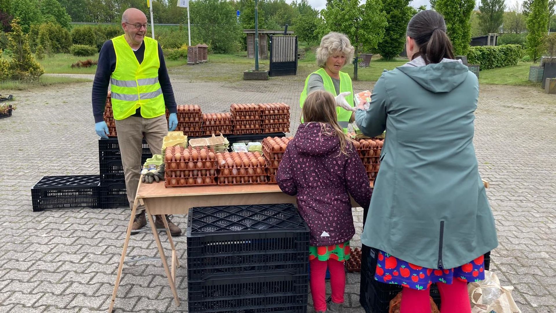 De Kop Is Eraf Voor Herenboeren Assen: Radijs En Sla Van Het Veld - RTV ...