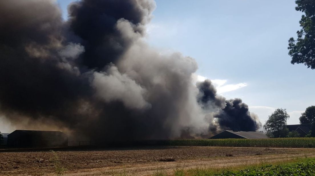 Bij een grote stalbrand aan de Tatelaarweg in Didam zijn dinsdagmiddag alle 2500 varkens omgekomen, meldt de veiligheidsregio. De rookwolken waren van ver te zien.