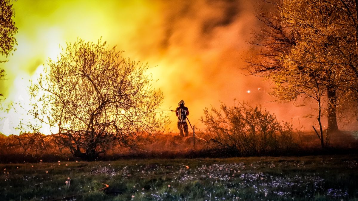 Groter risico op natuurbranden in Groningen: 'Een klein brandje kan zich snel uitbreiden'