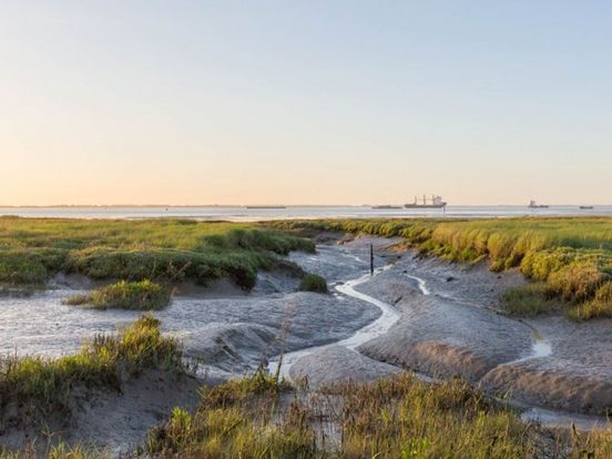 'Michelinster' voor Zeeuws landschap: Deltagebied is nu officieel van wereldfaam