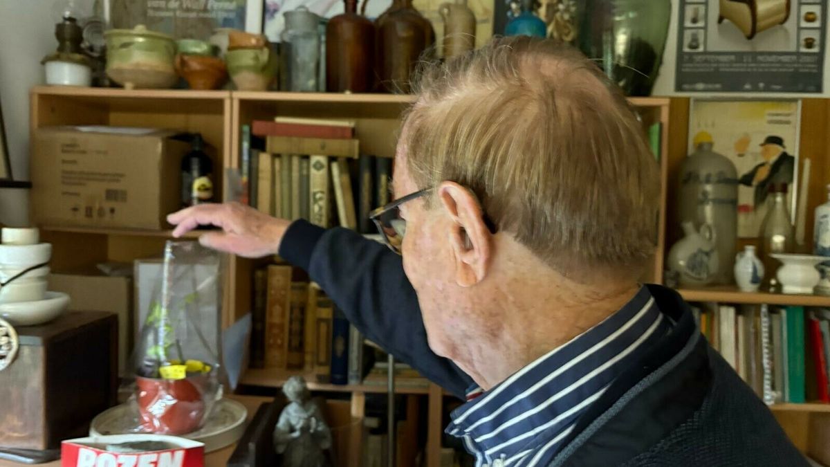 Van achtertuin naar stadsjungle, de vergeten rozen van Hoogeveen
