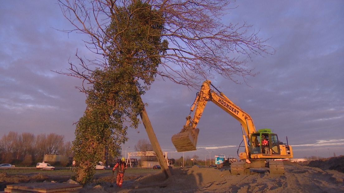 De boom moest extra worden ondersteund