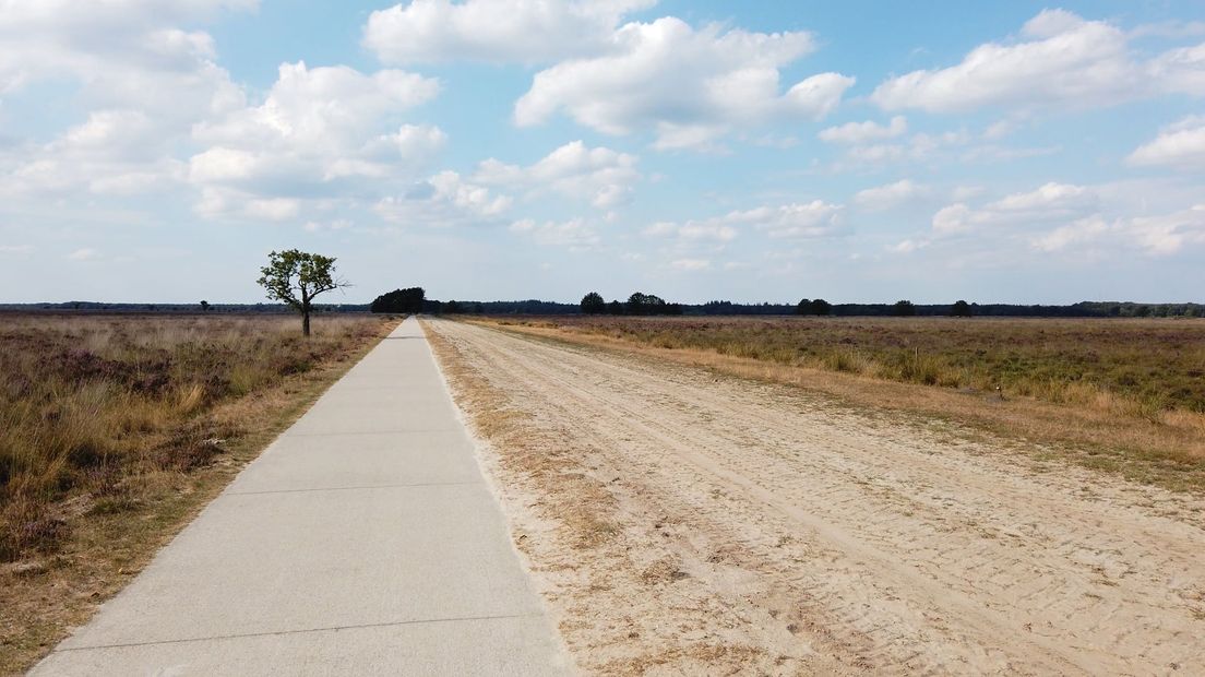 Het is erg droog op het Dwingelderveld