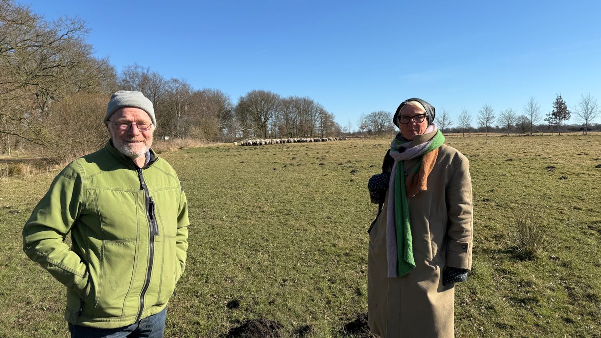 Herders van Balloo stoppen na 45 jaar: 'De kudde wordt verscheurd en dat doet veel verdriet'