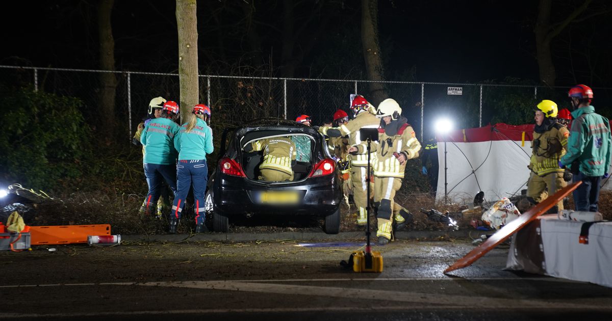 Two Seriously Injured in Raalte Car Crash