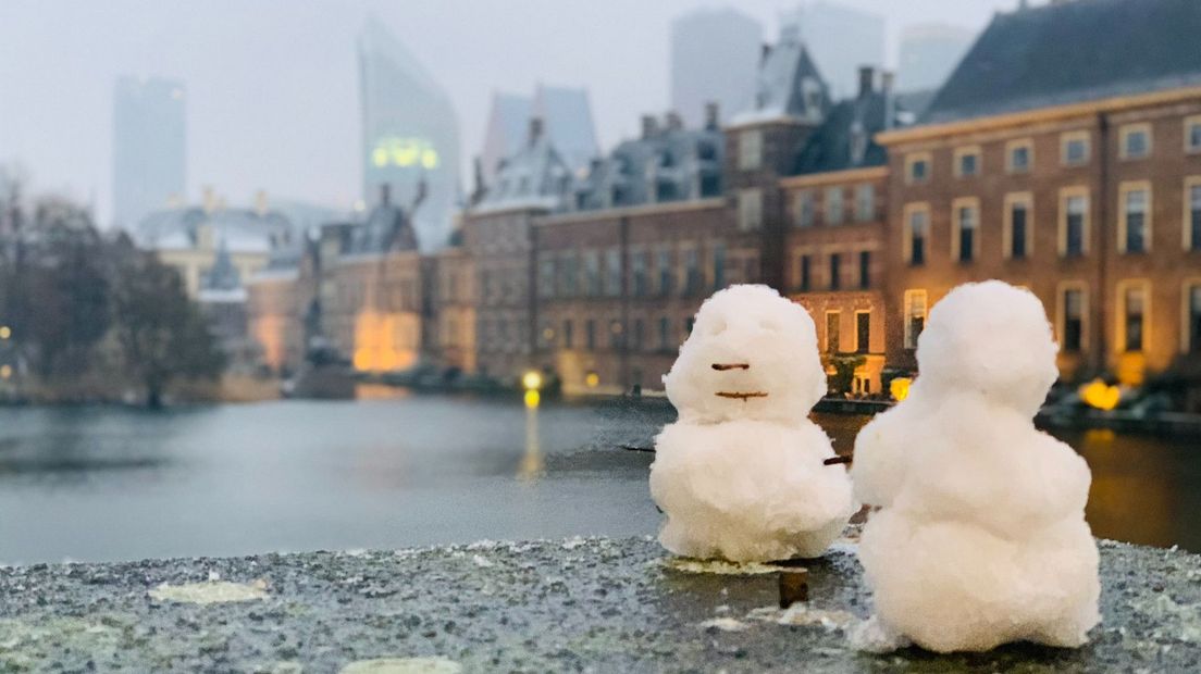 Sneeuwpoppen bij de Hofvijver