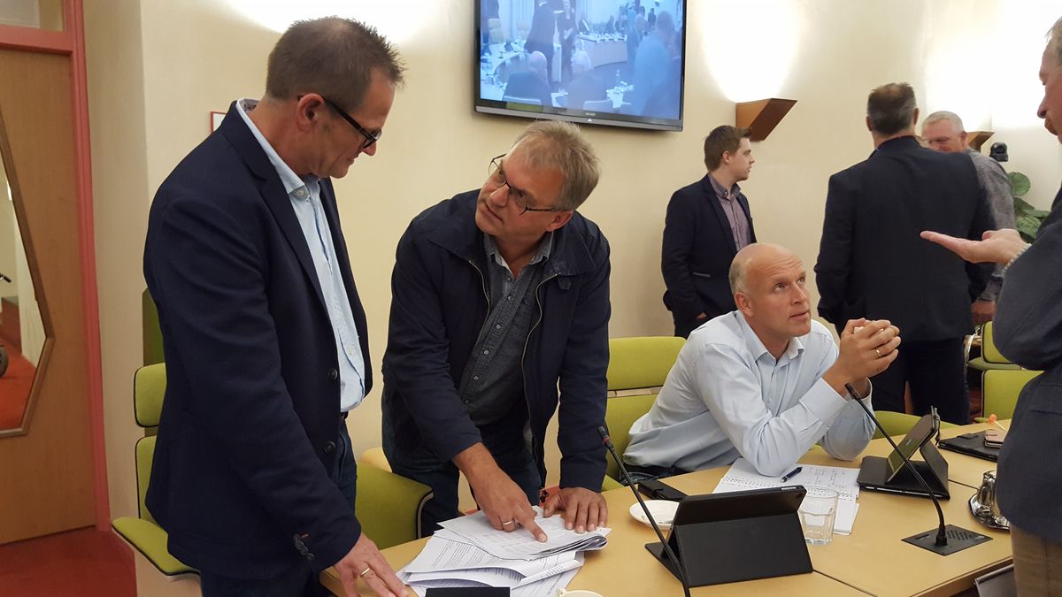 Seinen op groen voor dorpshuis in Buinen