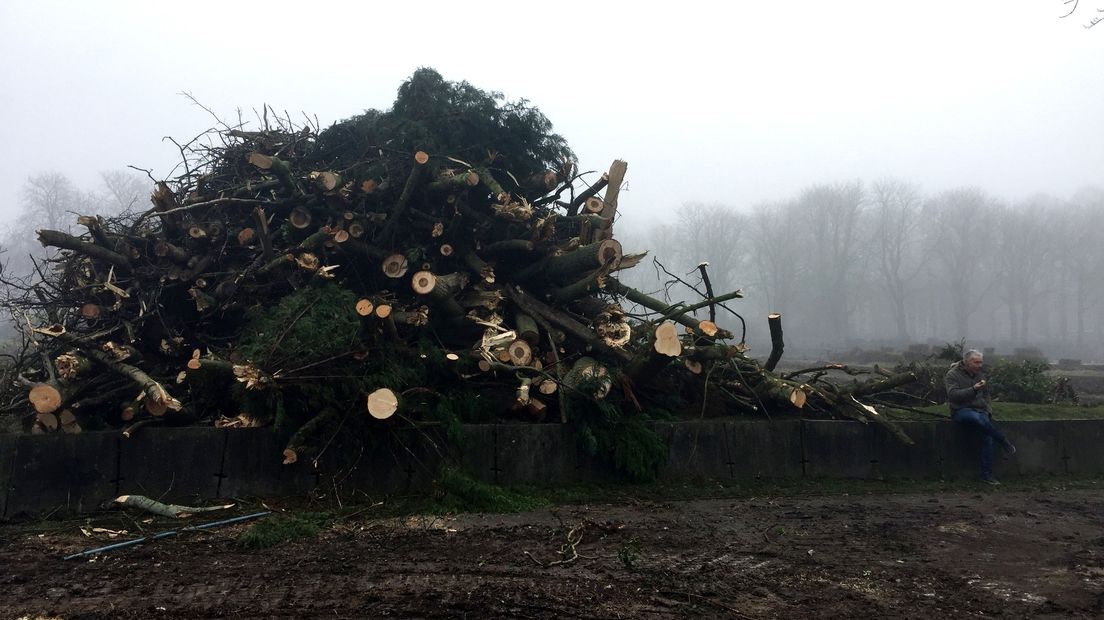 Vijftig bomen gekapt in Middelburg: 'Het Molenwater is verwoest'