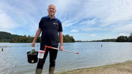 Blauwalg in Kasteelse Bossen tempert zomerse pret