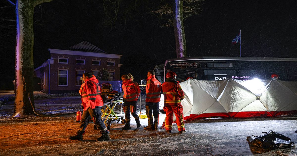 Bus Accident in Scharmer and Car Crash in Nietap - Local News