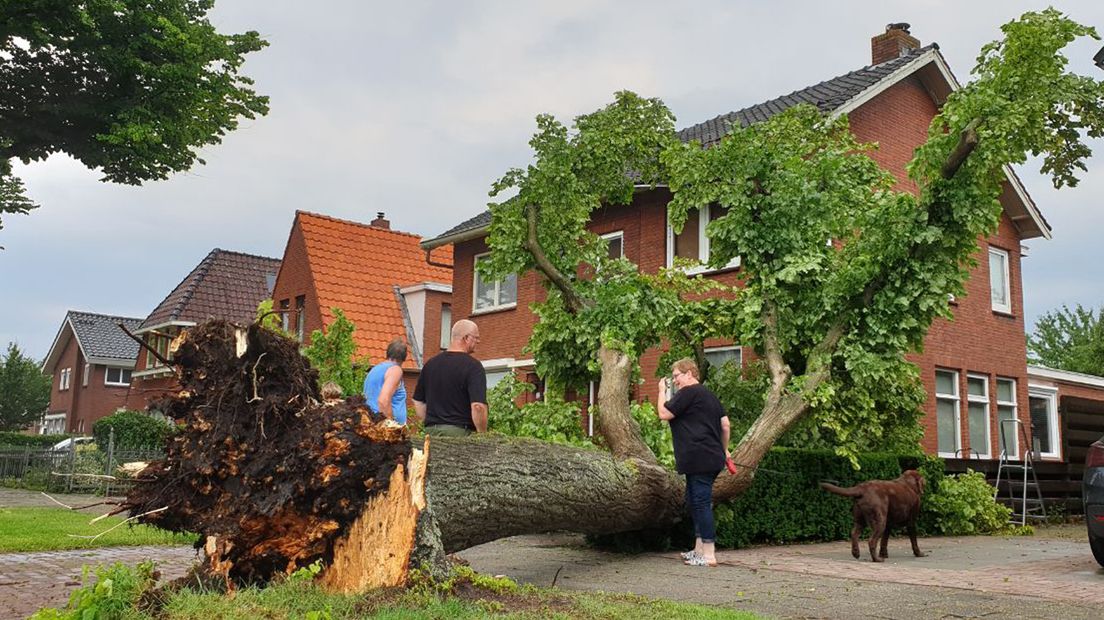 In de Prins Bernhardlaan is een boom tegen een huis gevallen