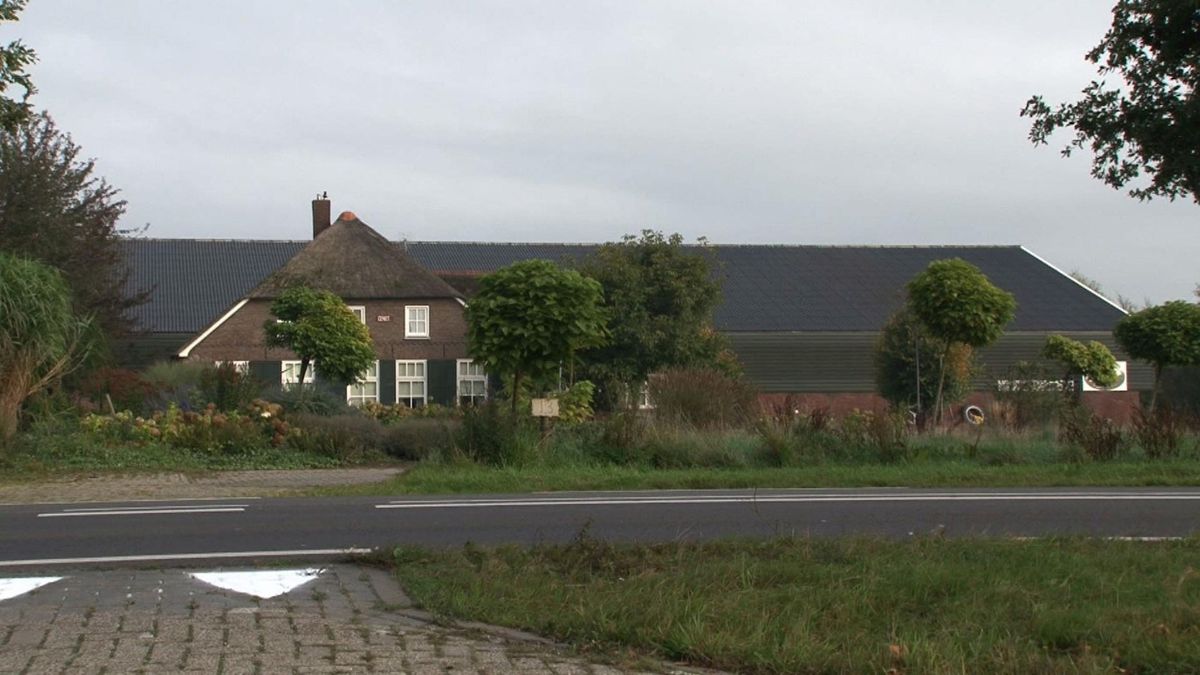 Omstreden varkenshouder mag definitief uitbreiden in Mariënheem