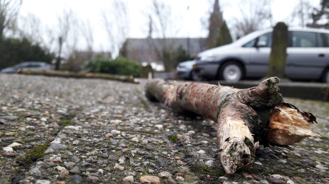 Afgebroken takken in Vinkeveen.