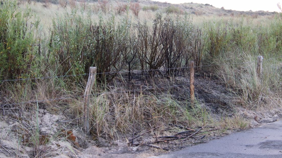 Duinbrand bij Kon-Tiki snel geblust