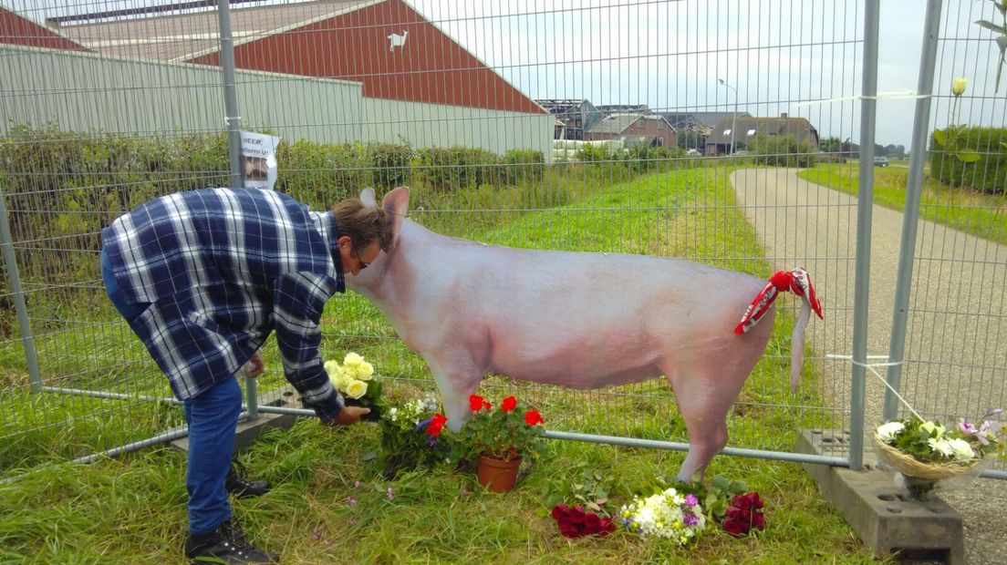 Tientallen mensen hebben aan het begin van de middag in Erichem een wake gehouden voor de 20.000 varkens die donderdag omkwamen bij een grote brand. Er werden bloemen neergelegd en de aanwezigen hielden een minuut stilte.