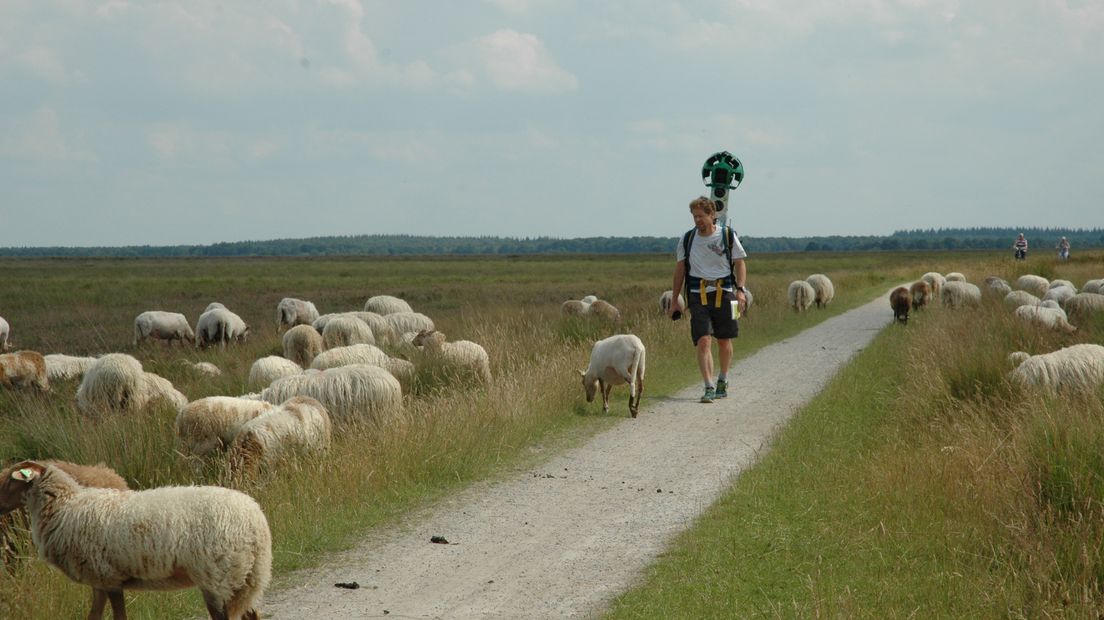 Over het Dwingelderveld vlogen vanmiddag twee helikopters (Rechten: Olga de Lange/Natuurmonumenten)