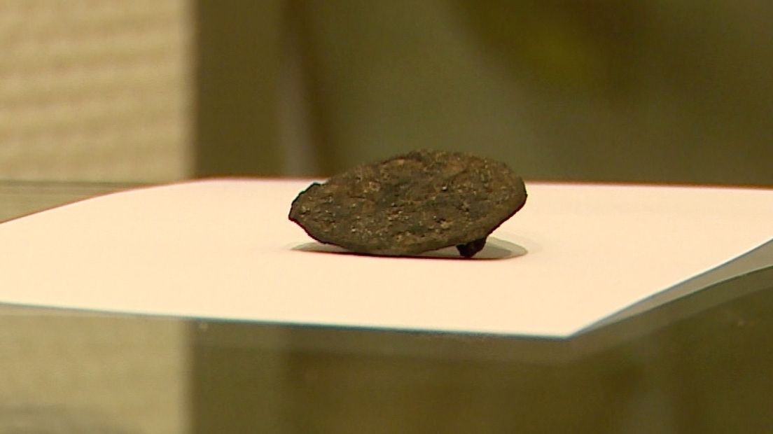 De gevonden fibula (een eeuwenoude mantelspeld).