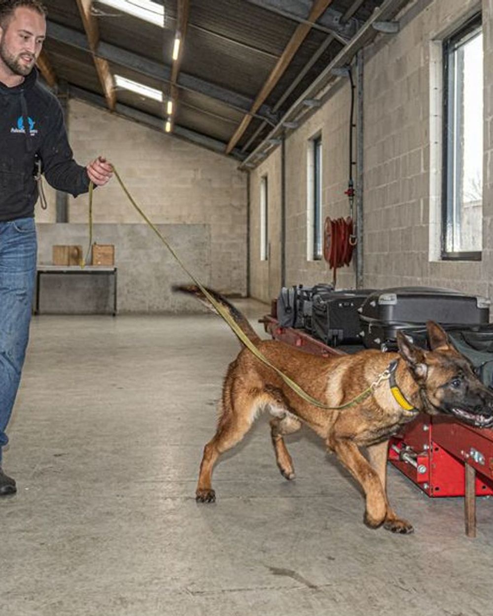Word jij straks hondentrainer? Deze eigenschap heb je sowieso nodig