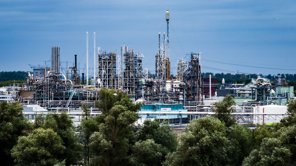 Rechtszaak milieuorganisaties van start: 'Staat moet PFAS-vervuiling stoppen'