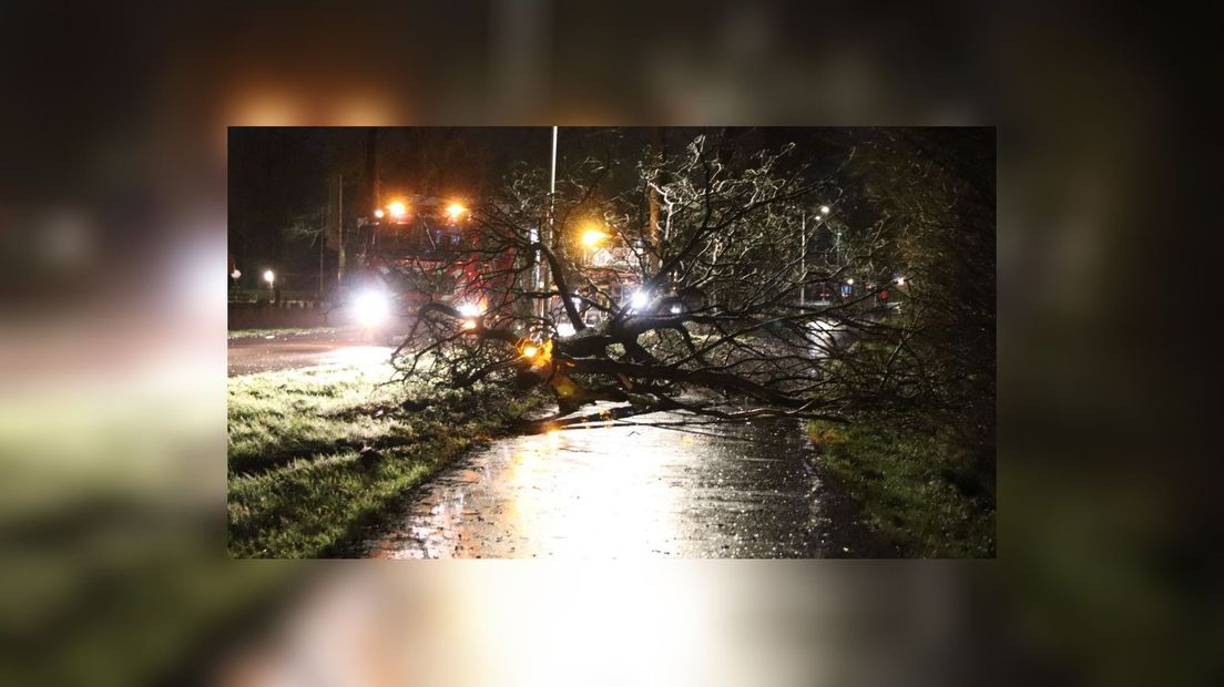 Net buiten Joure blokkeerde een omgevallen boom een fietspad