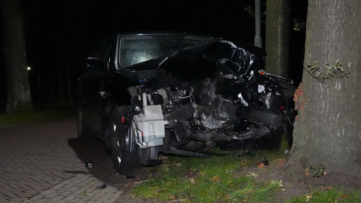 Bestuurder raakt boom in Bronneger