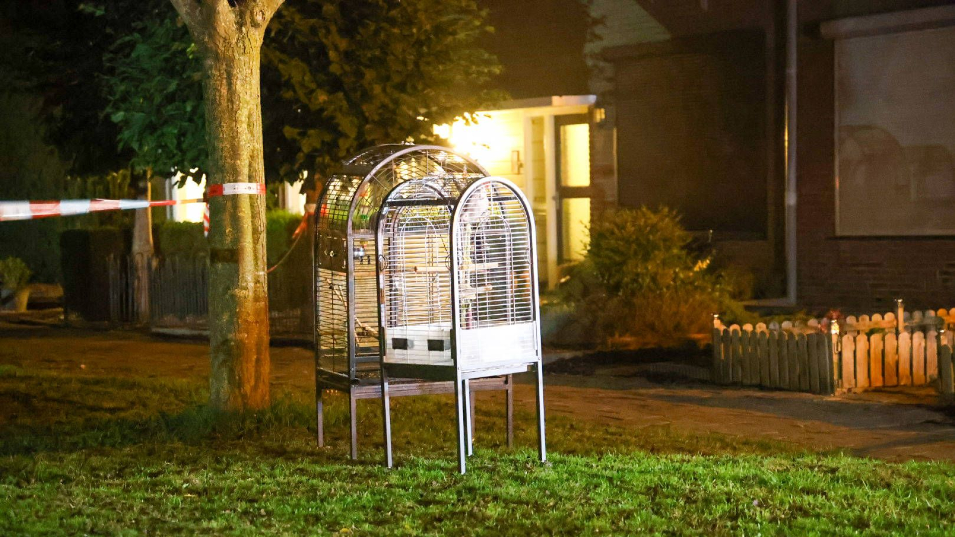 Papegaaien gered uit brandende garage