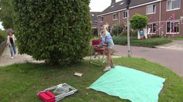 Zomer in Overijssel