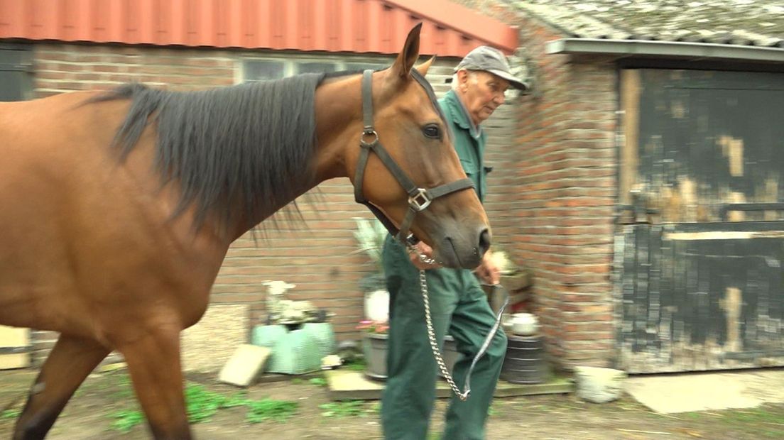 Paard en trainer voelen zich thuis in nieuw onderkomen