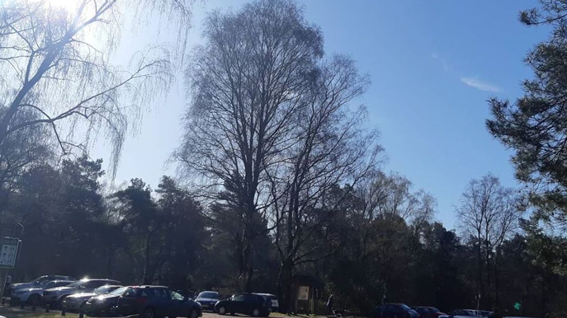 Het is minder druk in natuurgebieden in Gelderland dan vorig weekend. Dat zeggen Natuurmonumenten en Staatsbosbeheer. Tot nu toe houden mensen zich goed aan de oproep om niet massaal naar de natuurgebieden te komen, ondanks het mooie weer.